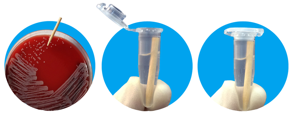 LevGo smartPicks